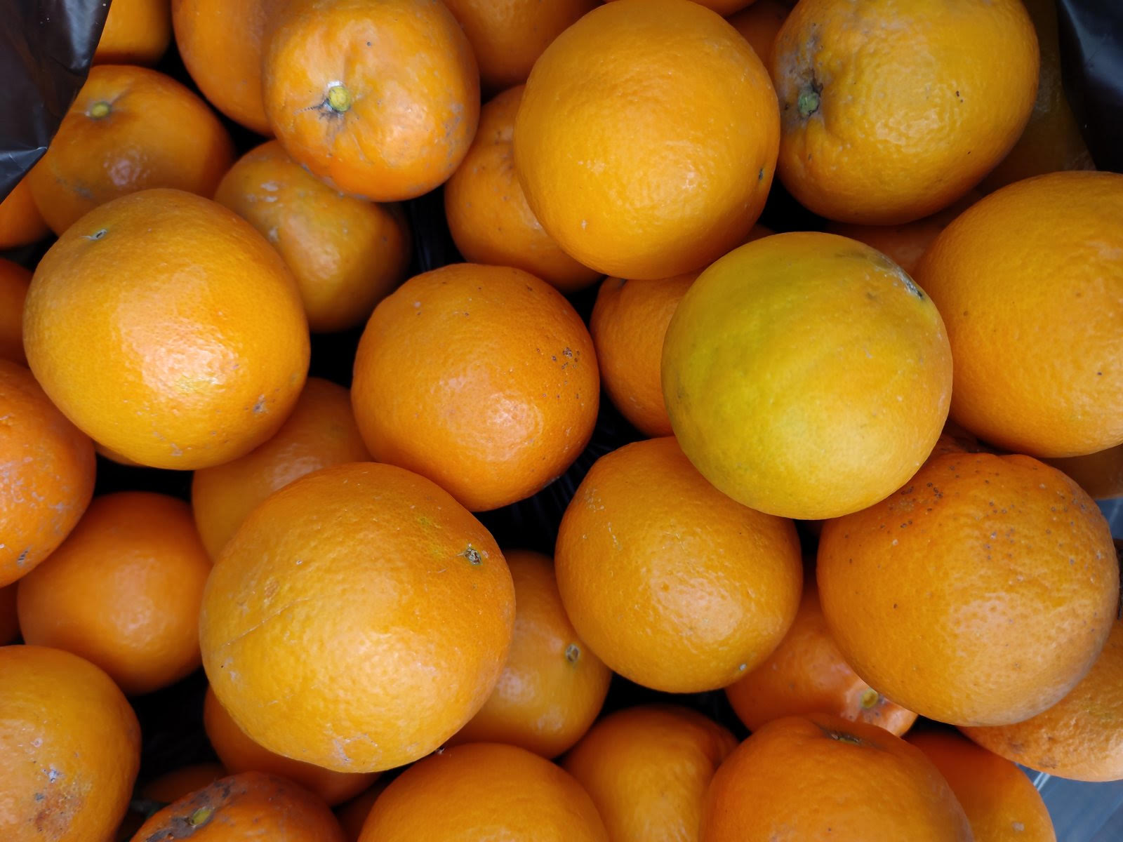 zoumera portokalia